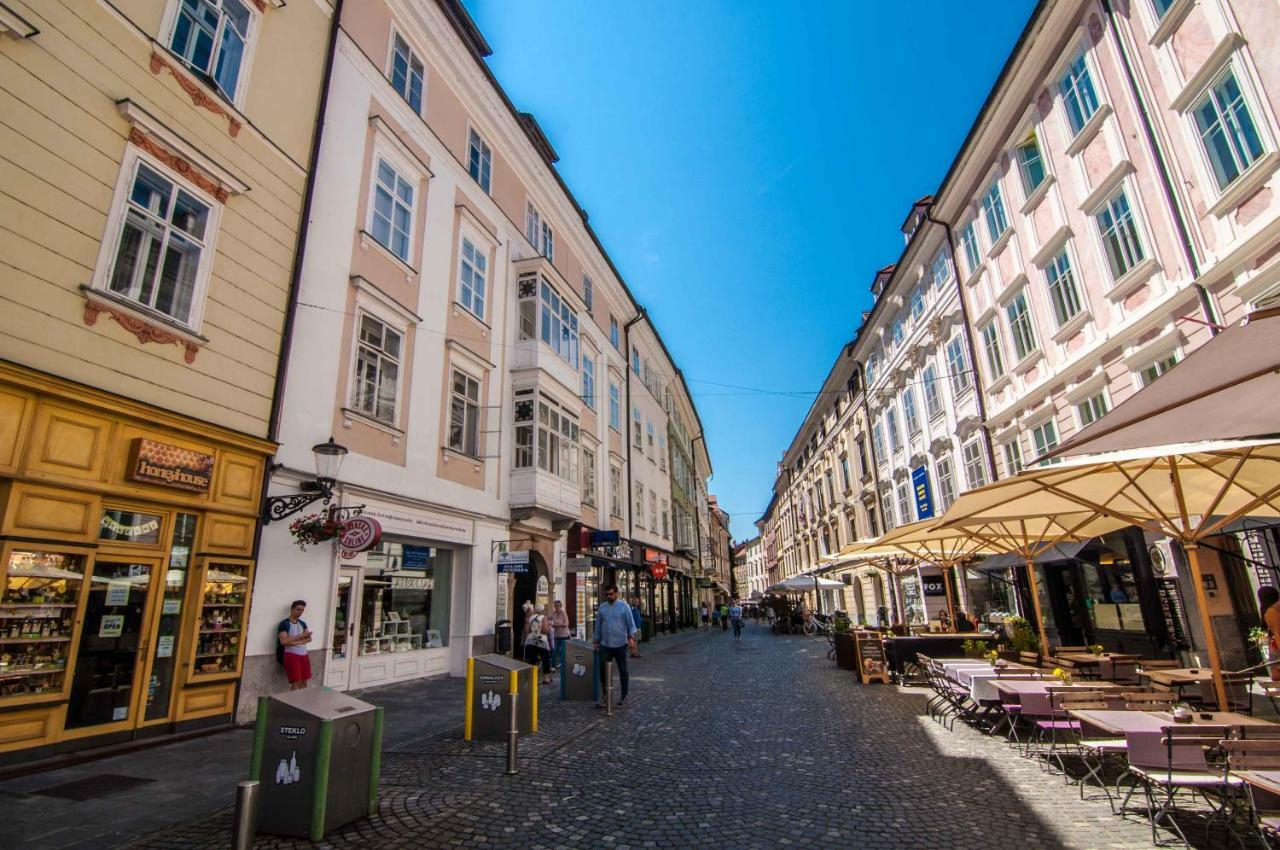 Elegant Central Apartment Ljubljana Exteriör bild